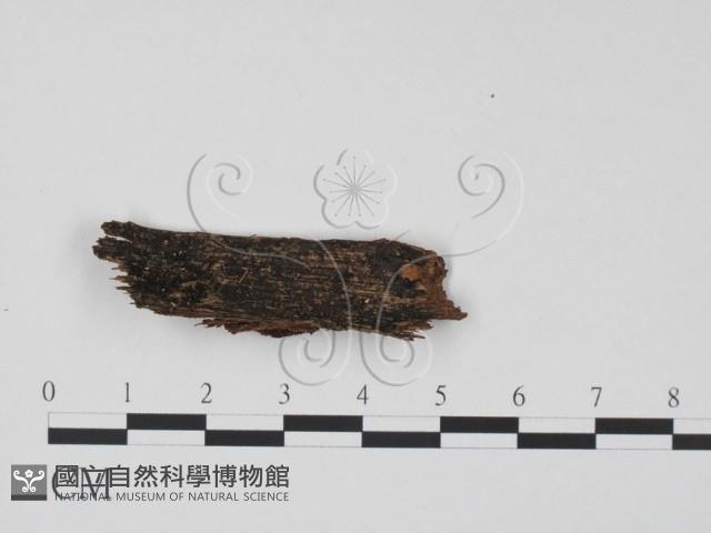 登錄號:F0018640藏品圖，第1張