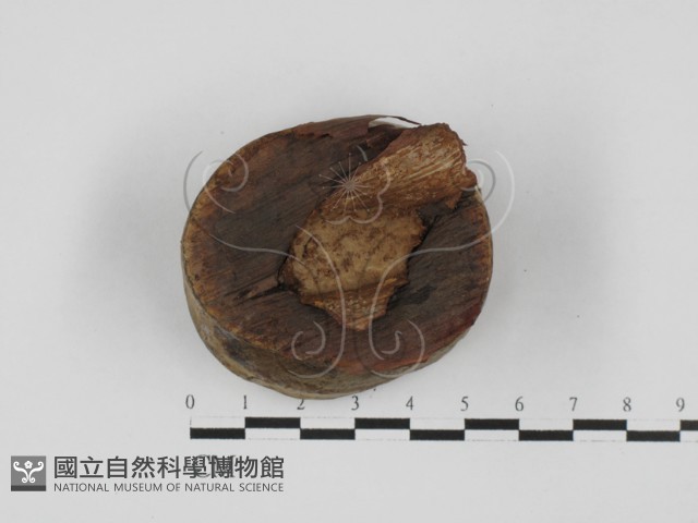 登錄號:F0027640藏品圖，第1張