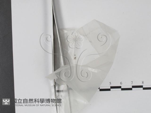 登錄號:F0001440藏品圖，第1張