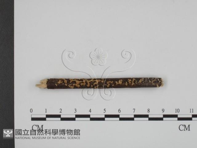 登錄號:F0002440藏品圖，第1張