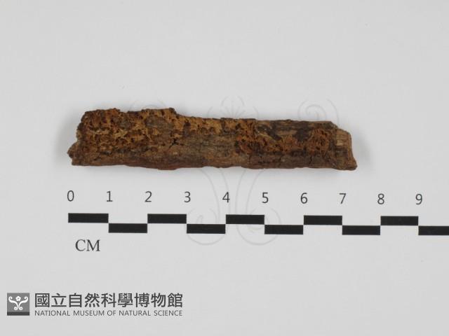 登錄號:F0032440藏品圖，第1張