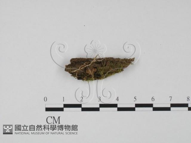 登錄號:F0015440藏品圖，第1張