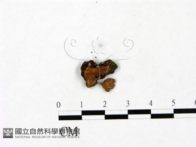登錄號:F0023440藏品圖，第1張