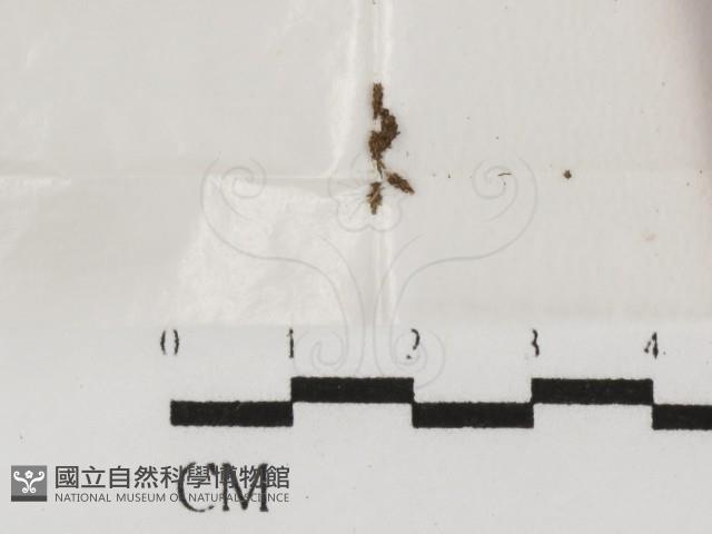 登錄號:F0000740藏品圖，第1張