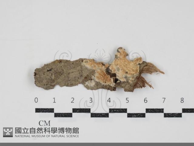 登錄號:F0034740藏品圖，第1張