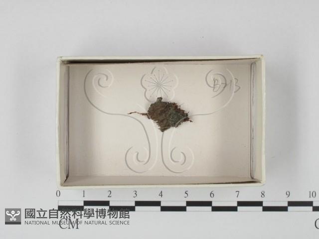 登錄號:F0018540藏品圖，第1張