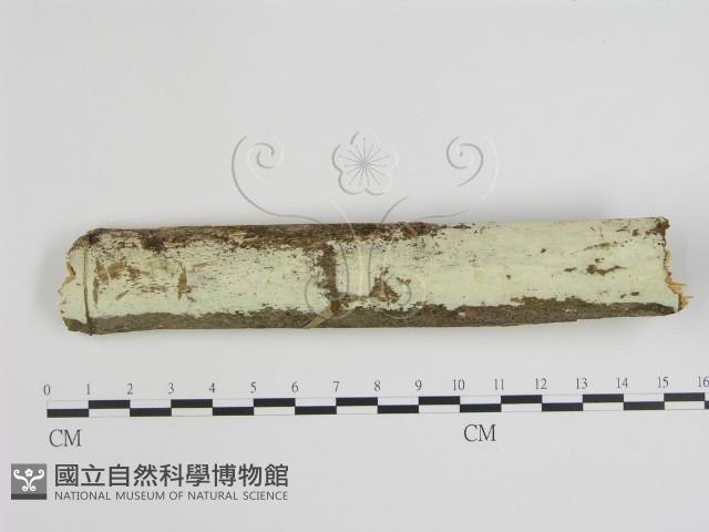 登錄號:F0001540藏品圖，第1張