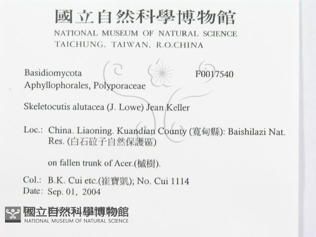 登錄號:F0017540藏品圖，第3張