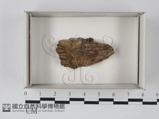 登錄號:F0018140藏品圖，第1張
