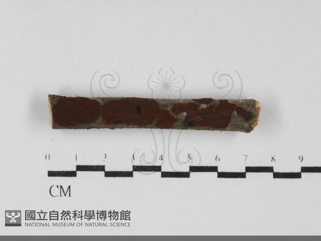 登錄號:F0032140藏品圖，第1張