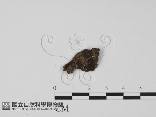 登錄號:F0021040藏品圖，第1張