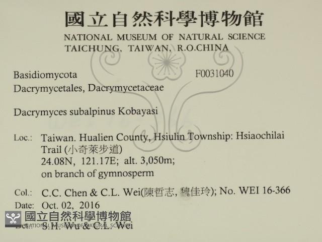 登錄號:F0031040藏品圖，第3張