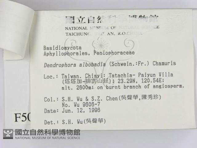 登錄號:F0005040藏品圖，第3張