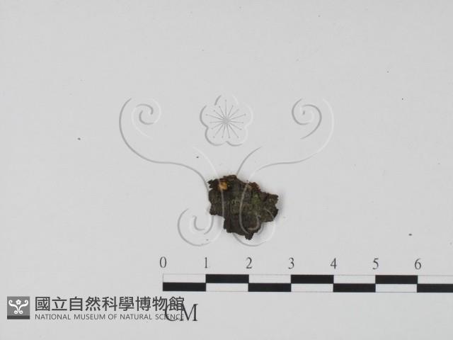 登錄號:F0015040藏品圖，第1張