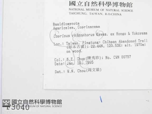 登錄號:F0003040藏品圖，第3張