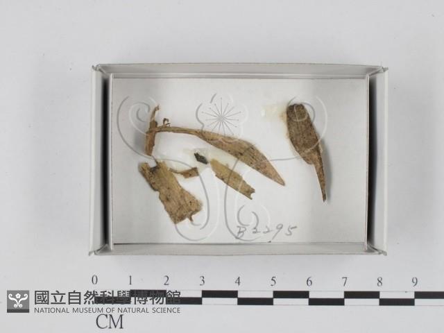 登錄號:F0018340藏品圖，第1張