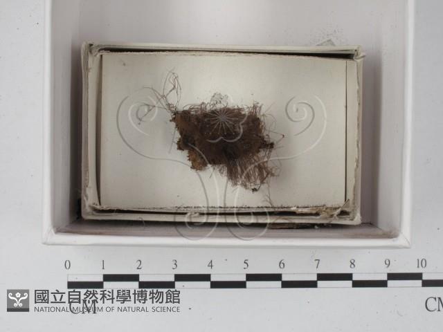 登錄號:F0021340藏品圖，第1張