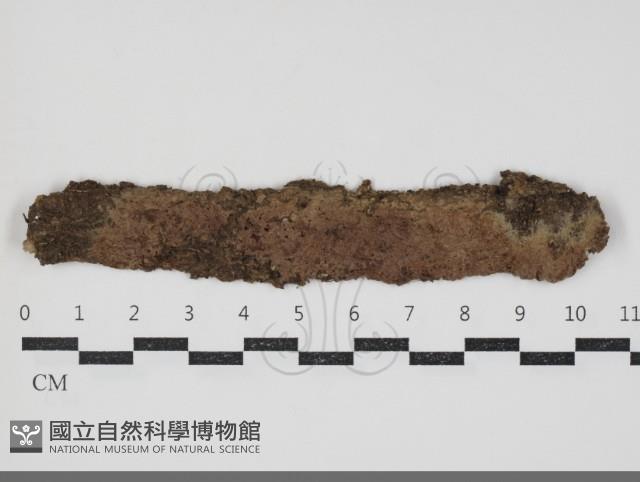 登錄號:F0034340藏品圖，第1張