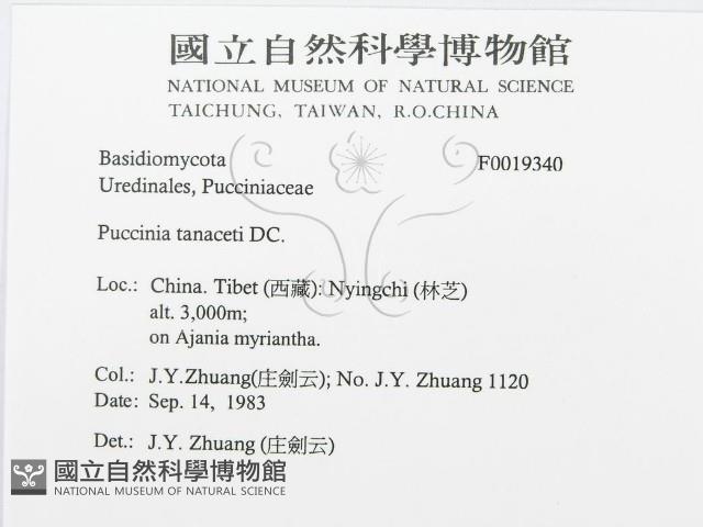 登錄號:F0019340藏品圖，第3張