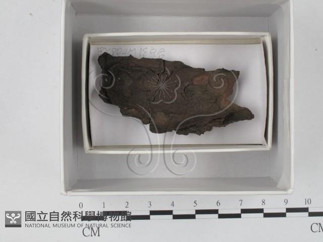 登錄號:F0018230藏品圖，第1張