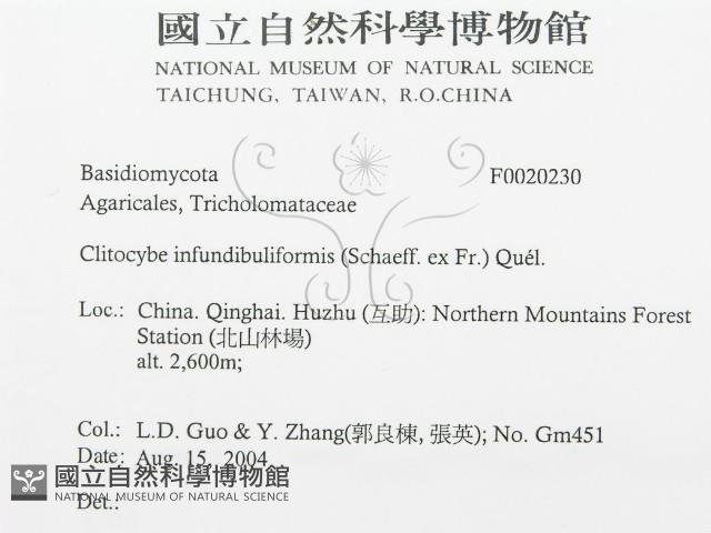 登錄號:F0020230藏品圖，第3張
