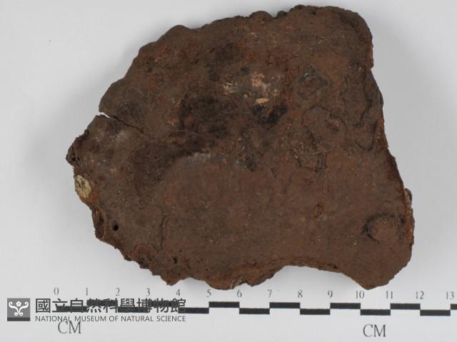 登錄號:F0031230藏品圖，第1張