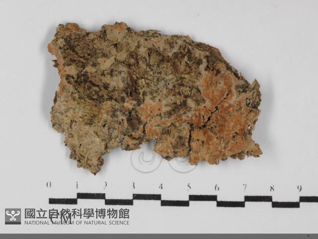 登錄號:F0032230藏品圖，第1張