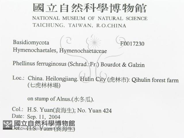 登錄號:F0017230藏品圖，第3張