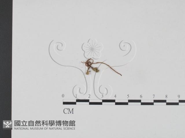 登錄號:F0005230藏品圖，第1張