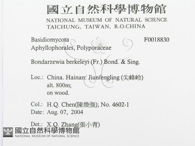 登錄號:F0018830藏品圖，第3張