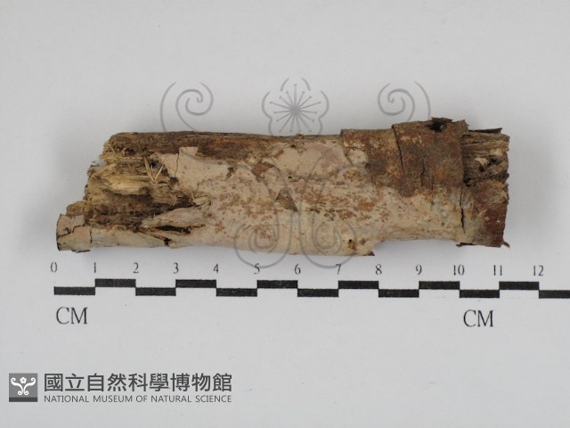 登錄號:F0030830藏品圖，第1張