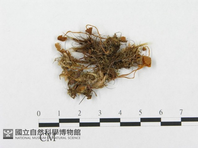 登錄號:F0001830藏品圖，第1張