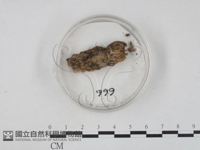 登錄號:F0009830藏品圖，第1張