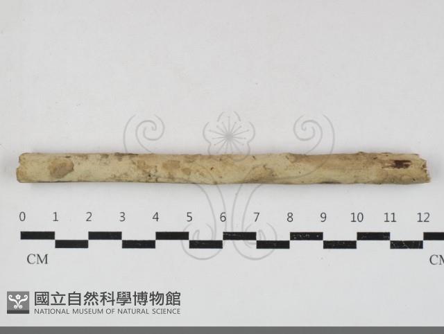 登錄號:F0033830藏品圖，第1張