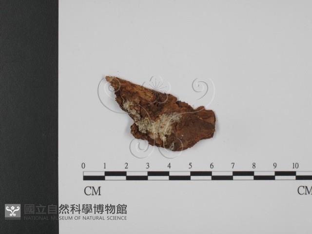 登錄號:F0000930藏品圖，第1張