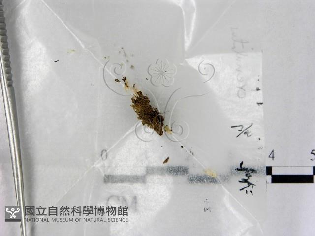 登錄號:F0001930藏品圖，第1張