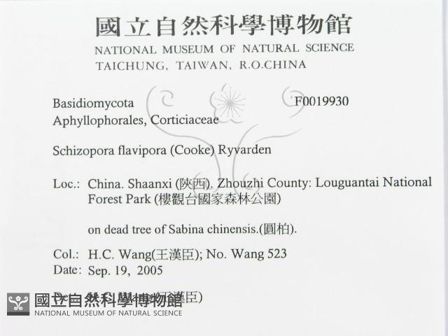 登錄號:F0019930藏品圖，第3張