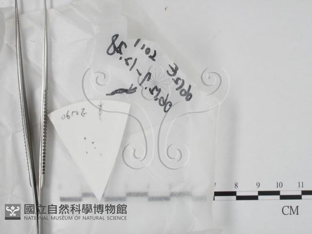 登錄號:F0020630藏品圖，第1張