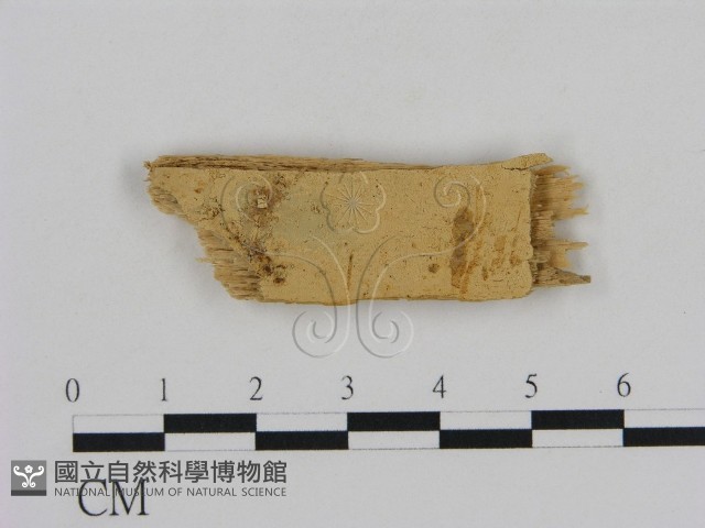 登錄號:F0016630藏品圖，第1張