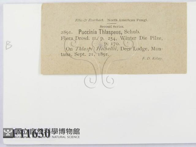 登錄號:F0011630藏品圖，第3張