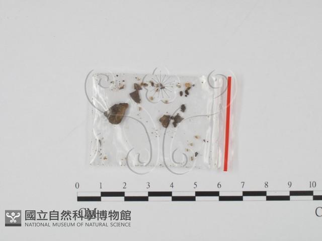 登錄號:F0019630藏品圖，第1張
