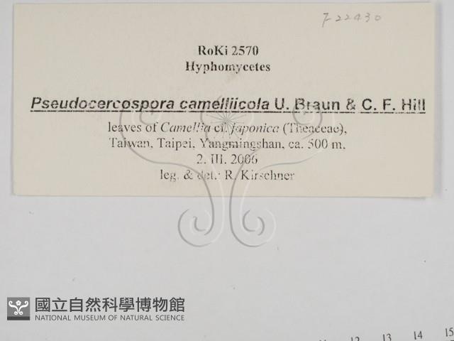 登錄號:F0022430藏品圖，第3張