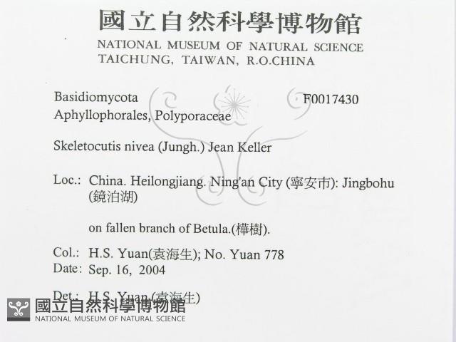 登錄號:F0017430藏品圖，第3張