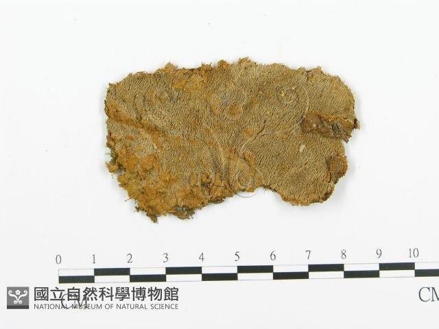 登錄號:F0009430藏品圖，第1張