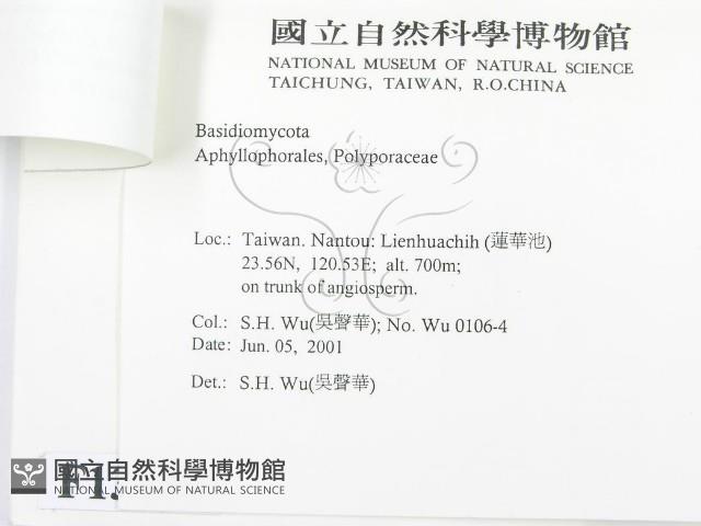 登錄號:F0013430藏品圖，第3張