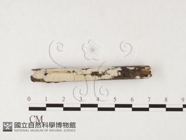 登錄號:F0026730藏品圖，第1張