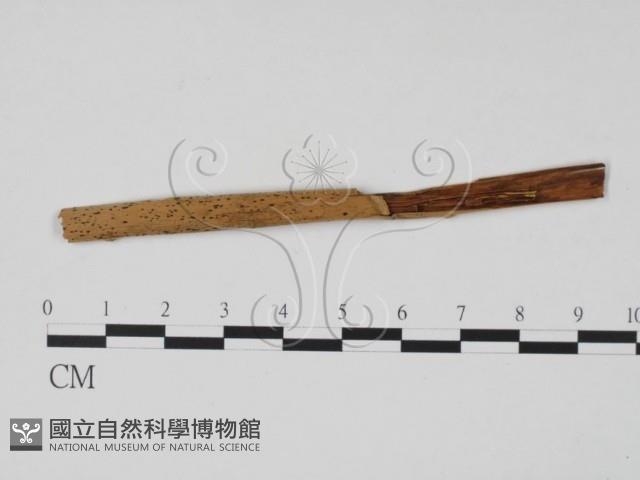登錄號:F0011730藏品圖，第1張
