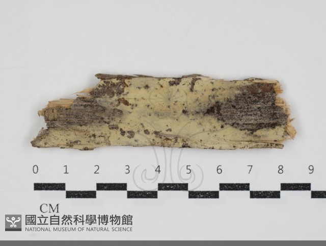 登錄號:F0034730藏品圖，第1張