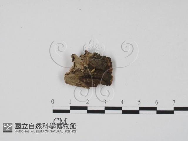 登錄號:F0015730藏品圖，第1張