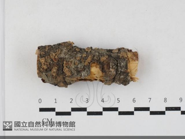 登錄號:F0033730藏品圖，第1張